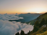 读韩漫屋先拆壳：核对转发语是不是加码后再把标题改成问句（像换句话说）